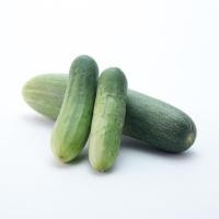 ราคา สดใหม่จากไร่ แตงกวา สด สะอาด รับประกันคุณภาพ ราคา ถูก ส่ง (21016293560)