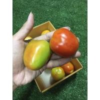 ราคา สดใหม่จากไร่ มะเขือเทศท้อ มะเขือเทศส้มตำ ผักผลไม้สด ผักสลัด ราคาถูก ราคาส่ (21015968373)