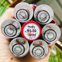 ราคา คอนแทคเลนส์ รุ่น Nudy สีเทา ตาล Gray Brown มีค่าสายตา 0 00 10 00 (15443420848)