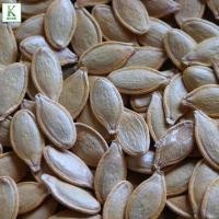 ราคา ทองอำไพ 426 เมล็ดพันธุ์ฟักทอง ฟักทองพันธุ์หนัก ทรงผลใหญ่ สวย ผิวคางคก คุณภาพเนื้อดี ทรงผลแป้นสวยงาม เนื้อสีเหลือง เนื้อหนา รสชาติหวาน มัน เหนียว เป็นที่ต้องการของตลาด (21379709894)