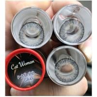 ราคา คอนแทคเลนส์ บิ๊กอาย รุ่น Catwoman สีเทา ตาล Gray Brown ค่าสายตา 0 00 8 00 (16536442605)