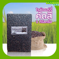 ราคา ข้าวไรซ์เบอร์รี่คัดสี ขนาด 1 kg คัดพิเศษ (21591234358)
