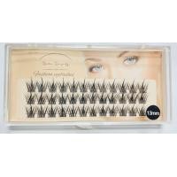 ราคา ขนตาปลอม ขนตาเหมือนดอกไม้ Lazy Trilogy Eyelashes DIY ขนตาหนา ขนตาให้สัมผัสที่นิ่ม รูปแบบเดียวกับดารา จัดส่งจากประเทศไทย ราคาถูก ยอดนิยม ขนตาปลอมธรรมชาติจำ ขนตาหนา คุณภาพดีลอง (21686044602)