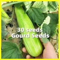 ราคา ปลูกได้ทั้งปี เมล็ดพันธุ์ผัก 30 Seeds High Yield Gourd Seeds Organic Vegetables Seeds for Planting Vegetable Plants Seeds เมล็ดพันธุ์ผัก เมล็ดผัก เมล็ดพืช ผักสวนครัว ปลูกผัก ผักสวนครัว เมล็ดผักสวนครัว