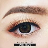 ราคา Daisy brown บิ๊กอายส์น้ำตาลตัดขอบตาโต แบ๊ว (7912388840)