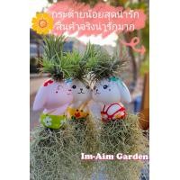 ราคา ตุ๊กตากระต่าย เคราฤาษี ขนาดใหญ่4นิ้ว (21336228681)