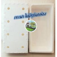 ราคา กล่องโฟมปลาแซลมอน กล่องโฟม ลังโฟม กล่องเก็บความเย็น กล่องโฟมเก็บความเย็น foam cooler box ปลูกผัก (21548334975)