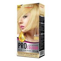 ราคา ใหม่ครูเซ็ท ครีมย้อมผม โปร คัลเลอร์ 100 มล Cruset PRO Colour Hair Colour Cream 100 ml สีย้อมผมครูเซ็ท (19796103313)