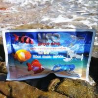 ราคา UFO อาหารกุ้งและปลาสวยงาม เต่า ชนิดจม 200 กรัม (20885387196)