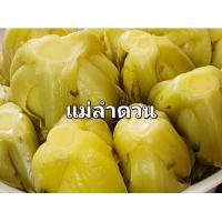ราคา ผักกาดดองเปรี้ยว ต้นดั้งเดิม (21702870433)
