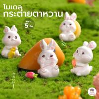 ราคา กระต่ายตาหวาน เซต 5 ชิ้น ตุ๊กตาจิ๋ว โมเดลจิ๋ว แต่งสวน ตุ๊กตาแต่งสวนจิ๋ว ตุ๊กตาจัดสวนถาด (21727542331)