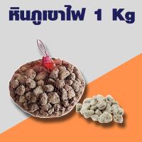 ราคา วัสดุกรอง ตู้ปลา หินกรอง หินภูเขาไฟ คาร์บอน ซีโอไลท์ เซรามิคริงค์ PH aqua ขนาด 1 KG (21495976392)