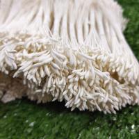 ราคา เกสรปลายเรียว เกสรดอกไม้ประดิษฐ์ เกสรดอกไม้งานประดิษฐ์ เกสรดอกไม้ งานฝีมือ (12340562889)