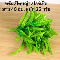 ราคา เฟิร์นประดิษฐ์ ตกแต่งบ้านและสวน เฟิร์นปลอม ต้นเฟิร์นมี3ขนาด Grass เปอร์เซีย (19429127421)