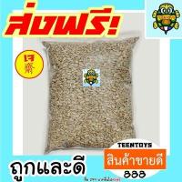 ราคา เมล็ดทานตะวันอบ กะเทาะเปลือก พร้อมทาน เต็มเมล็ดใหญ่ เกรด AAA ผลิตใหม่ตลอด 100 กรัม ไม่เหม็นหืน สูตรลับเฉพาะ อาหารเจ เจ ถั่วตราเต่า (3516792467)