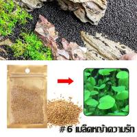 ราคา ดินปลูกไม้น้ำ พรรณไม้น้ำ ไม่เป็นอันตราย สามารถ เลี้ยงปลา กุ้ง หอย ได้ (21508589810)