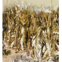 ราคา ปลาเกร็ดขาว ปลาเกร็ดขาวตากแห้ง ปลาแห้ง อาหารทะเลตากแห้ง น้ำหนัก 1 กิโลกรัม ปลาซิว ปลากะตักขาว (21011090960)