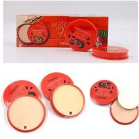 ราคา T6052 แป้งพัฟแตงโม TANAKO แป้งพัฟUV แป้งพัฟผสมรองพื้น แป้งพัฟกันแดด แป้งพัฟ แป้งพัฟแตงโมคุมมัน แป้งพัฟ face แป้งพัฟcc (15587780452)