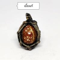 ราคา เบี้ยแก้ ฝังตระกุดหลัง จี้เบี้ยแก้ กันมนต์ดำ คุณไสยเข้าตัว เข้าพิธีแล้ว (10050521179)