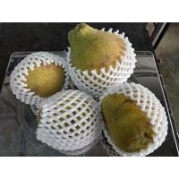 ราคา กระท้อน 1กิโล กระท้อนปุยฝ้ายสด (14527382943)