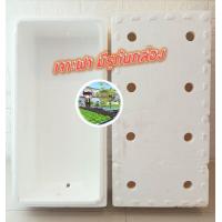 ราคา กล่องโฟมปลาแซลมอน กล่องโฟม ลังโฟม กล่องเก็บความเย็น กล่องโฟมเก็บความเย็น foam cooler box ปลูกผัก (21548334973)
