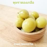 ราคา พุทรานมสดดองเกลือ ขนาด 500 กรัม ราคาสุดคุ้ม แถมฟรีพริกเกลือรสแซ่บ (21600490628)