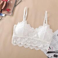 ราคา สายเดี่ยวลูกไม้ ไม่มีโครง เสริมฟองน้ำ ถอดได้ (21752749818)