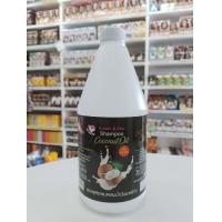 ราคา แชมพู แกลลอน ดรึม 1000 ml มีหลายสูตร อัญชัน มะกรูด มะพร้าว กล้วยหอม น้ำนมข้าว เย็น (21340343812)