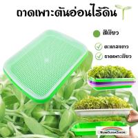 ราคา ถาดเพราะไร้ดิน เมล็ด ต้นอ่อน ถาดเพาะเมล็ด ถาดไดโซะ ถาดปลูก ปลูกข้าวสาลีแมว ถาดเพาะต้นอ่อนไร้ดิน Microgreen กระดาษปลูกไร้ดิน (12930638675)