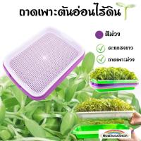 ราคา ถาดเพราะไร้ดิน เมล็ด ต้นอ่อน ถาดเพาะเมล็ด ถาดไดโซะ ถาดปลูก ปลูกข้าวสาลีแมว ถาดเพาะต้นอ่อนไร้ดิน Microgreen กระดาษปลูกไร้ดิน (12930638678)
