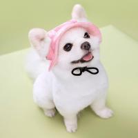 ราคา หมวกบังแดด รูปปอมเมอเรเนียนน่ารัก สําหรับสัตว์เลี้ยง สุนัข แมว (21668444838)