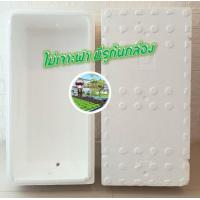 ราคา กล่องโฟมปลาแซลมอน กล่องโฟม ลังโฟม กล่องเก็บความเย็น กล่องโฟมเก็บความเย็น foam cooler box ปลูกผัก (21548334972)