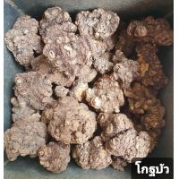 ราคา สมุนไพร โกฐบัว อบแห้ง อย่างดี 100กรัม (9550377742)