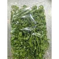 ราคา สดจากสวน ผักกูด สด สะอาด รับประกันคุณภาพ ราคา ถูก ส่ง (21015159780)