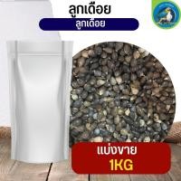 ราคา สุดยอด ลูกเดือย Thai millet อาหารนก กระต่าย หนู กระต่าย กระรอก ชูก้า และสัตว์ฟันแทะ แบ่งขาย 250G 500G 1KG (19769364098)