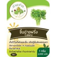 ราคา ทำมะชาดฟาร์ม มีคู่มือ 10แถม1 500 2000เมล็ด เมล็ดพันธุ์ ผักสลัด กรีนโอ๊ค คอส ฟิลเลย์ สลัดแก้ว บัตเตอร์เฮด ผักกาดหอมอิตาลี่ ไฮโดรโปรนิกส์ (5103846571)