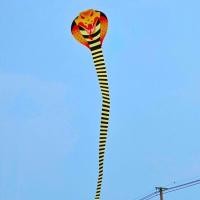 ราคา พร้อมส่ง ว่าว ว่าวงู หางยาวสุด 3 9 เมตร สินค้าพร้อมส่งจากไทย (21537168236)