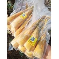 ราคา หน่อไม้ไร่ต้มแล้ว แพคสูญญากาศ แพค50บาท500กรัม (21405573438)