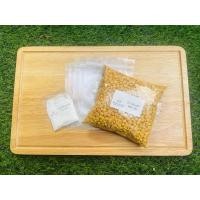 ราคา Tempeh Kit ชุดทำเทมเป้ถั่วเหลืองล้วน เทมเป้ทำเอง เทมเป้สดใหม่ Tempeh Super Food (13909400235)