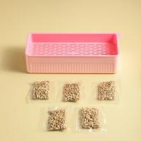 ราคา หญ้าแมว ข้าวสาลีแมว เมล็ดหญ้าแมว เมล็ดข้าวสาลี ชุดปลูกข้าวสาลีแมว พร้อมเมล็ด ออร์แกนิค ต้นอ่อนข้าวสาลี อัตราการงอกสูงปลูกง่ายโตไว (21079711575)