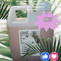 ราคา จุลินทรีย์รักษาโรคพืช บาซิลลัส ซับทิลิส BS เชื้อขยายสูตรน้ำพร้อมใช้ขนาด 1 ลิตร (21716283699)