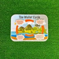 ราคา สื่อการสอนวัฏจักรน้ำ และ การเปลี่ยนสถานะของสาร สื่อการสอนวิทยาศาสตร์ สื่อการสอนทำมือ (19948125982)