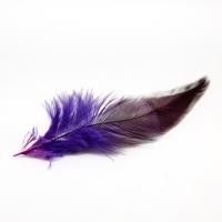 ราคา ขนนกไก่ตัวผู้ไก่ขนไก่ฟ้าคุณภาพสูง100ชิ้นสำหรับงานฝีมือ DIY เครื่องประดับขนนกตกแต่ง (20067820325)