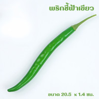 ราคา ผักโมเดล ผักพลาสติก ผักปลอม ผักผลไม้ปลอม สำหรับตกแต่งร้านอาหาร แต่งบ้าน แต่งร้านค้า (21144725461)