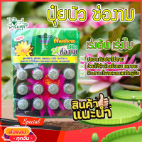 ราคา ปุ๋ยบัว ปุ๋ยดอกบัว ปุ๋ยไม้น้ำ ตรา ช่องาม สูตรเพิ่มดอก เร่งดอก สีสวยสด ดอกใหญ่ เร่งใบ เร่งต้น แตกหน่อ น้ำใส ไม่เป็นอันตรายต่อปลา บรรจุ 12 เม็ด homes (9666770260)