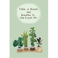 ราคา โปสการ์ดต้นไม้ มอนสเตอร่า Plant Postcard โปสการ์ดดอกไม้ โปสการ์ดแต่งห้อง (18413364968)