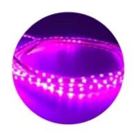 ราคา ไฟมะรุม ไฟเส้น ไฟแต่งรถยนต์ 12V ไฟLED กันน้ำ ไฟเม็ดข้าวโพด ยาว90เซนติเมตร ใช้ติดรถ ใช้ตกแต่งงานเครื่องเสียงรถยนต์ เหมาะกับงานขึ้นซาวด์ ตกแต่งตู้รถ สวย สว่างกระจายตัว จำนวน1เส้น (18756464880)