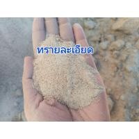 ราคา ทราย ทรายก่อสร้าง ทรายน้ำจืด (20885269745)
