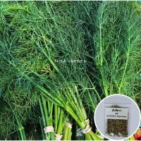 ราคา เมล็ด พันธุ์ ผักชีลาว 500 เมล็ด (20931846196)