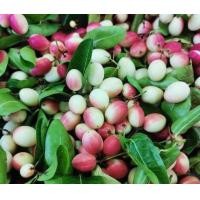 ราคา มะม่วงหาวมะนาวโห่ สด สะอาด รับประกันคุณภาพ (16615344762)